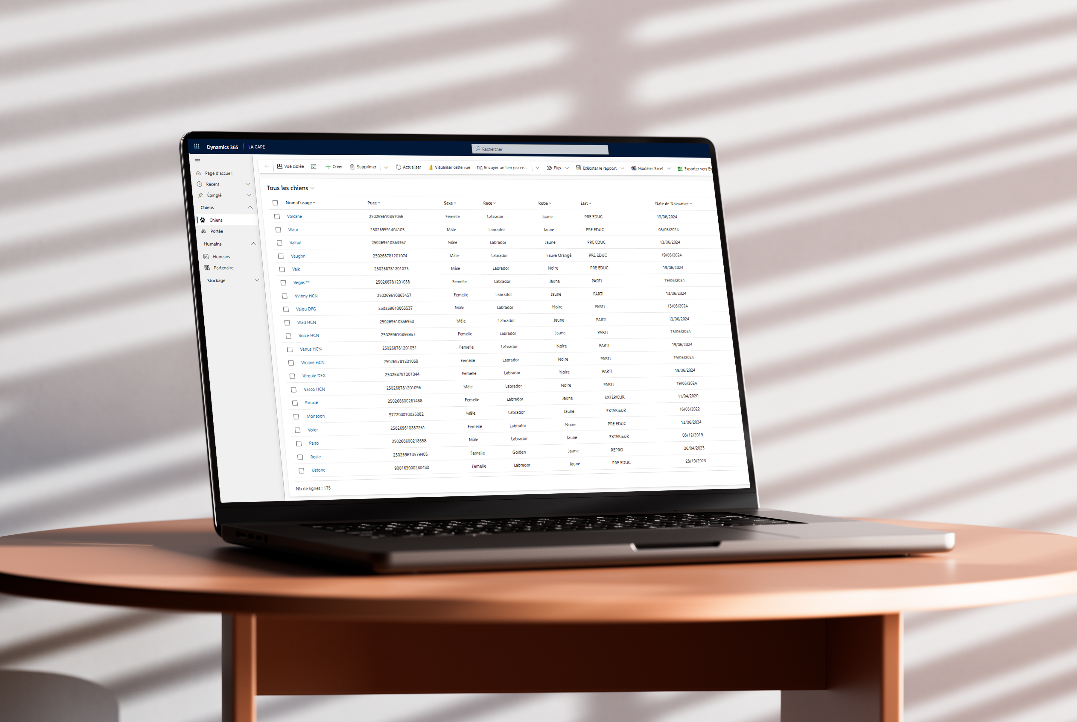 J'ai mis en place le CRM Dynamics, intégré à BaseDataverse, pour optimiser la gestion des relations humaines et des ressources au sein de l’association. Cet outil me permet de centraliser toutes les informations liées aux bénévoles, bénéficiaires et partenaires, assurant un suivi précis de leurs interactions et engagements.

Grâce à cette solution, je peux également gérer efficacement les chiens, depuis le suivi des portées jusqu’à leur affectation en famille d'accueil, ainsi que l’état des stocks (alimentation, matériel, soins). L’automatisation avancée de Dynamics me permet de structurer les processus internes et de garantir une meilleure traçabilité des actions, améliorant ainsi l'efficacité de la gestion de l’association.