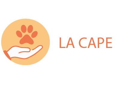 Dans le cadre d'une SAE, nous devions réaliser une refonte du logo et de la charte graphique d'une agence de notre choix. Dans mon cas, j'ai choisi de travailler sur l'association La Cape. J'ai donc créé un nouveau logo ayant pour objectif d'être en accord avec leurs valeurs de joie et de passion pour aider les personnes en situation de stress post-traumatique avec l'aide de chiens.